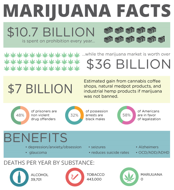 Cannabis Research 2